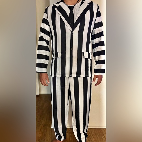 Beetle Juice costume with wig - Picture 4 of 4